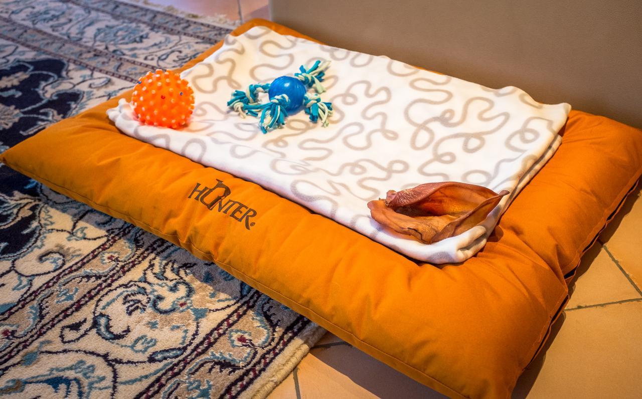 Chalet Verwall Luxury Apartments Lech Екстериор снимка